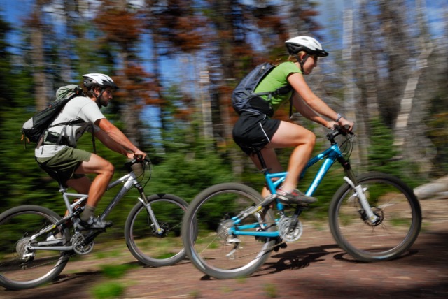 Mountain bikers speeding along a forest trail in sunshine, ROC Orthopedics
